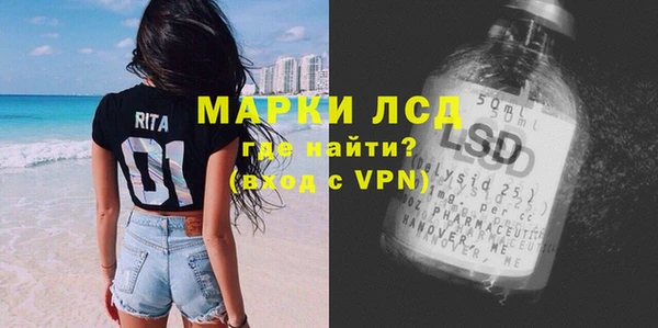 таблы Бородино