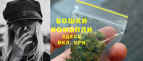 таблы Бородино