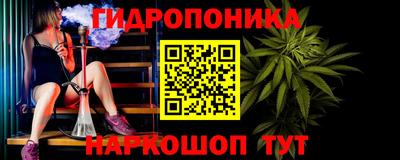 бошки Кингисепп
