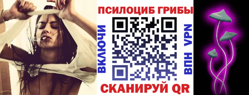Галлюциногенные грибы Psilocybe  где найти   Можайск 