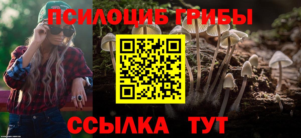 Псилоцибиновые грибы мухоморы  Можайск 