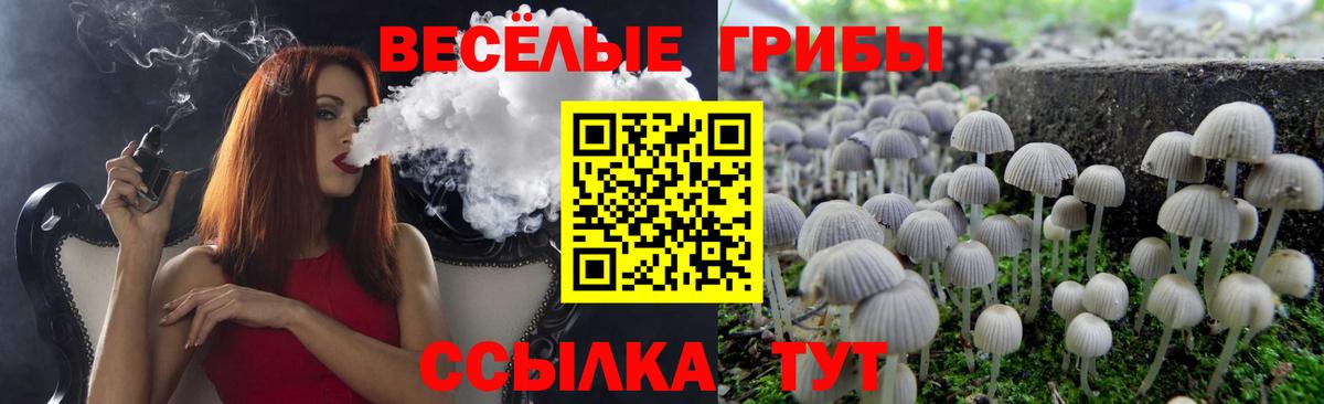 Галлюциногенные грибы мицелий  Вход с VPN  Можайск  Галлюциногенные грибы мицелий 