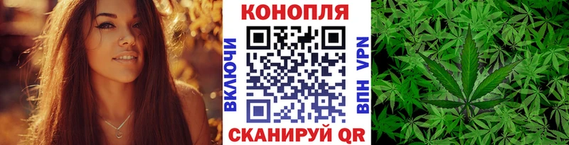 Бошки марихуана MAZAR  купить   гидра tor  Можайск 